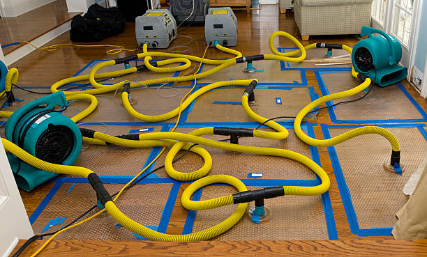 Professional Crawl Space Water Removal technician working in Milan, MO